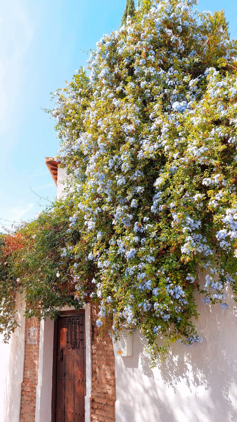 55+ Perfect Captions For Trips To Europe (That are actually good)